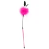chicote pompom rosa plumas penas flexível suave sedutor sensual erótico fetiche submissão jogos castigo carícias brincadeira íntima