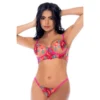 Conjunto duas peças tule bordado floral refinado rosa azul sutiã aro suporte perfeito alças ajustáveis tanga coordenada delicada